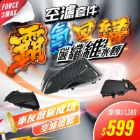 FORCE / SMAX 一二代 空濾套件 【原廠皮紋+碳纖維水轉紋 】